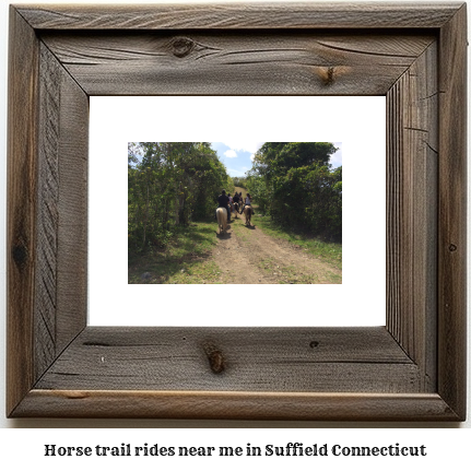 horse trail rides near me in Suffield, Connecticut